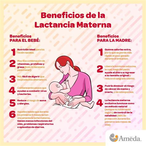 Por contener más de 300 nutrientes y cantidades exactas de grasas, azúcares. Beneficios De La Lactancia Materna Para La Mama - Estos ...