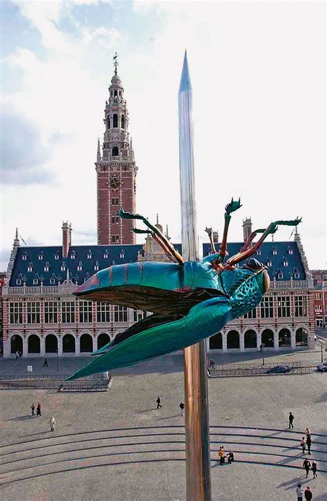 Jan fabre's impressive collection of sculptural installations leaves viewers in awe. I Visual & Performing Arts | Installatiekunst, Kunst ...