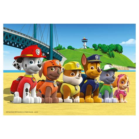 Deze speelset bevat de figuren marshall, skye en rubble. Paw Patrol Dappere Honden, 2x24st. online kopen ...