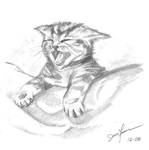 Polish your personal project or design with these cat drawing transparent png images, make it even more personalized and more attractive. Cat's Meow- Back from Hiatus 2008 - Jason Lenox