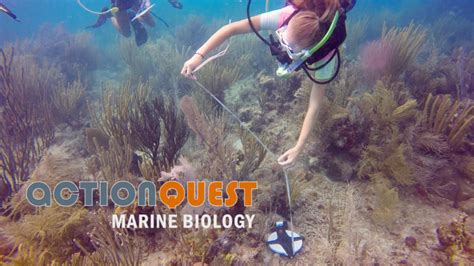 Marine Biology Summer Camps And Programs For Teens Actionquest