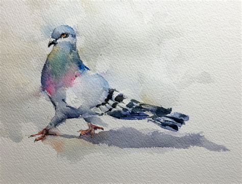 Pigeon Sketch Michele Clamp Art