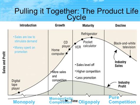 Product Life Cycle Ppt Doms