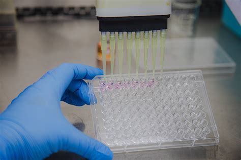A Ação De Uma Nova Droga Antitumoral