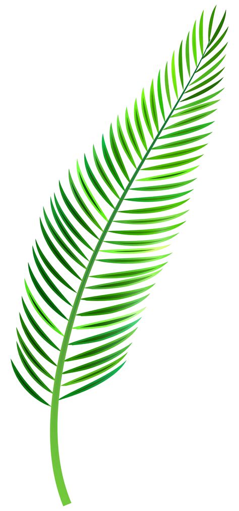 Palm Leaf Png Clip Art Best Web Clipart