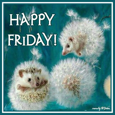 Happy Friday Hedgehogs In Dandelions Animal Art Cute Art Fantasy Art