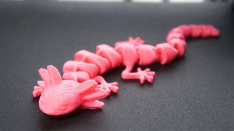 3d Printed Articulated Axolotl Etsy