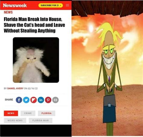 Newsweek NEWS Florida Man Break Into House Shave The Cat S Head And