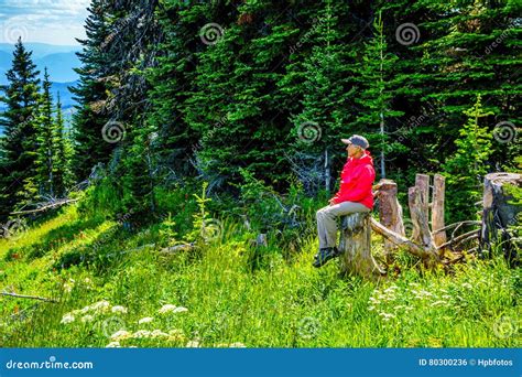 Senior Woman Resting On A Tree Stump During A Hike Through The Mountain