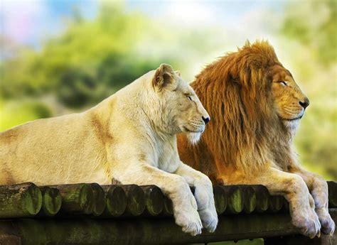 The Secret of Healthy Relationships