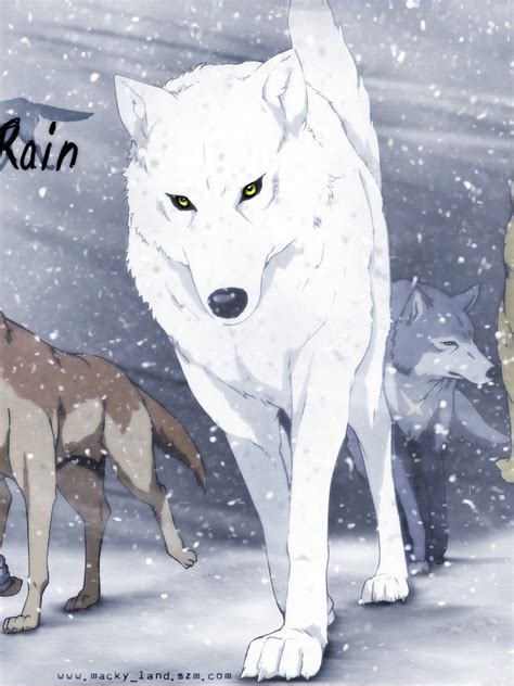 Free Download Wolves In The Anime Wolfs Rain Wallpapers And Images