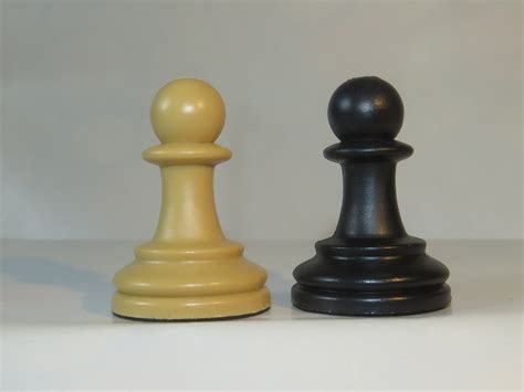 Peças De Tabuleiro De Xadrez