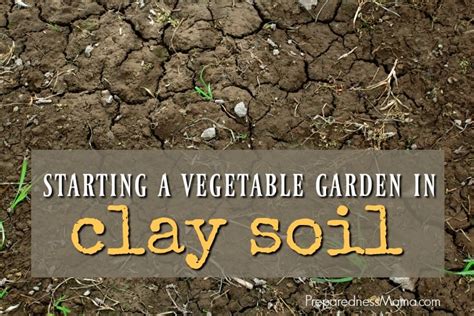 You can also grow your cannabis in organic soil. Starting a Vegetable Garden In Clay Soil | PreparednessMama