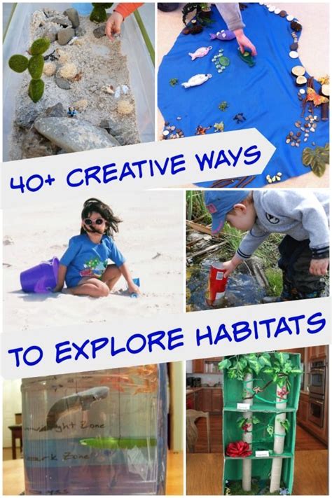 In ecology, the term habitat summarises the array of resources, physical and biotic factors that are present in an area, such as to support the survival and reproduction of a particular species. Exploring Habitats: 40 Projects & Science Activities ...