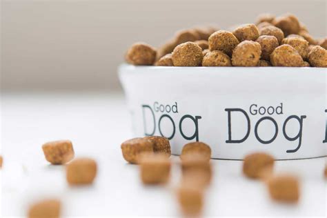 Natural balance limited ingredient high fiber dog food. 8 Best High Fiber Dog Foods for Blood Sugar - bestdogfood.com