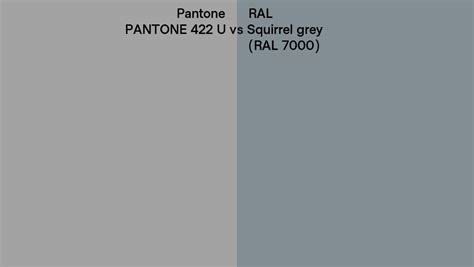 Pantone 422 U Vs RAL Squirrel Grey RAL 7000 Side By Side Comparison
