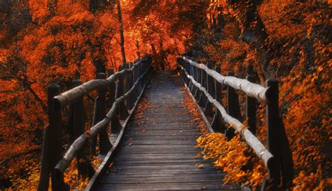 1336x768 A Bridge In Autumn Season Hd Laptop Wallpaper Hd Nature 4k