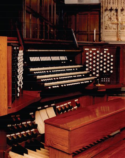 Pipes Alive! Half-hour Organ Concert: Bach to Basics | Music at the Red