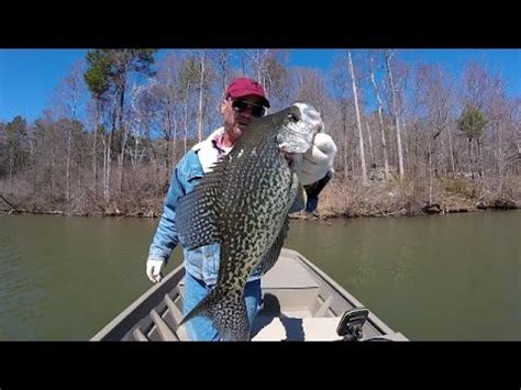 We talk the complete catfishing setup, and even the bluegill setup i used to catch the bait! Crappie Fishing During A Cold Front - Lake Guntersville ...