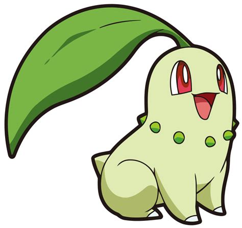 Explore chikorita wallpaper on wallpapersafari | find more items about chikorita wallpaper, chikorita hd the great collection of chikorita wallpaper for desktop, laptop and mobiles. Chikorita | Pokémon Wiki | FANDOM powered by Wikia ...