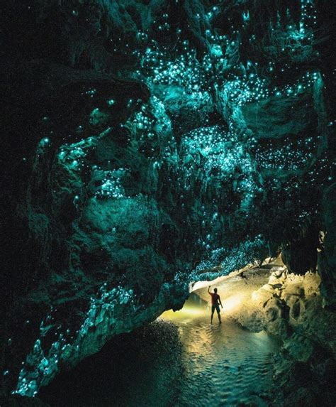 Enchanted Glow Worm Caves In New Zealand Glowworm Caves New Zealand