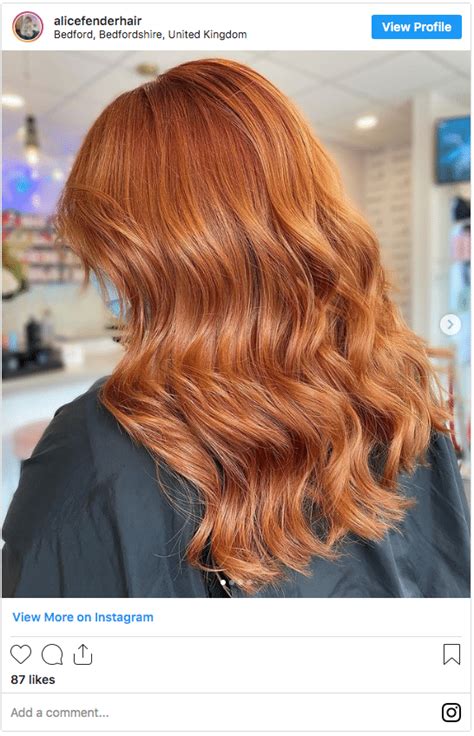 Top 48 Image Ginger Brown Hair Color Thptnganamst Edu Vn