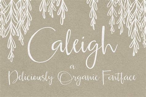You can specify the color that you want by either the color name or hexadecimal code for that color. Caleigh Script Font with Bonus ~ Script Fonts ~ Creative ...