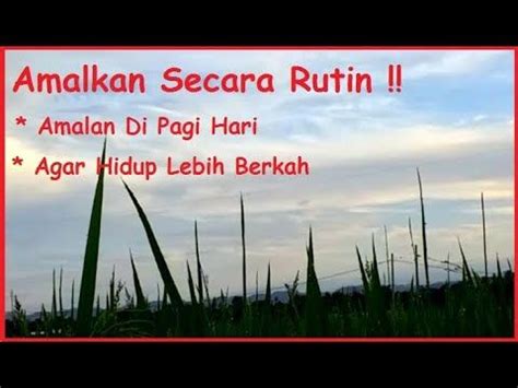 Setiap selesai melaksanakan sholat hajat, amalkan doa cepat kaya sebanyak 33 kali. Amalan Di Pagi Hari Agar Hidup Lebih Berkah Dan Banyak ...