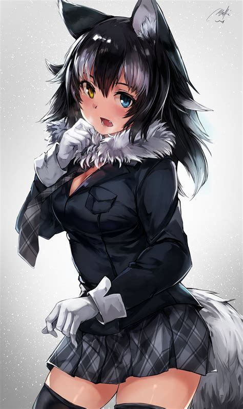 He usually wears a blue tabard with orange color decorate design which is red in the 2011 anime series and he also wear a white full body training suit. Anime picture kemono friends grey wolf (kemono friends) maki (maki pei) long hair single tall ...