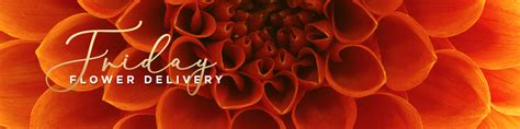 Follow all of the breaking blackfriday.com ads and news. Flowers Delivered Friday | Free Delivery | Serenata Flowers