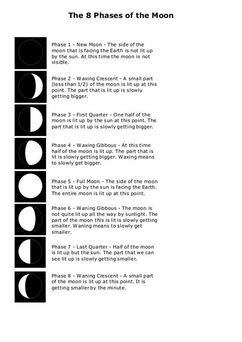 The 8 Phases Of The Moon