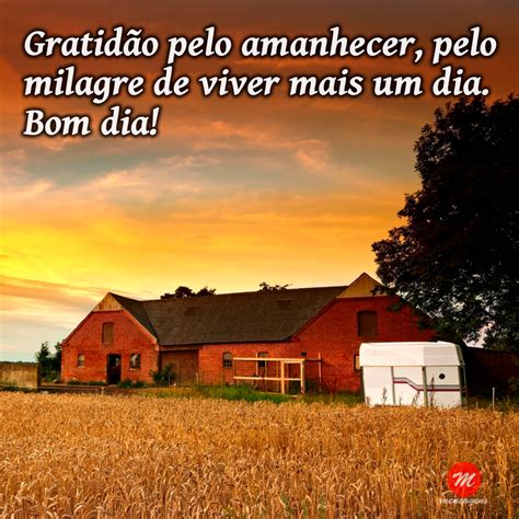 Bom Dia Lá Na Fazendinha