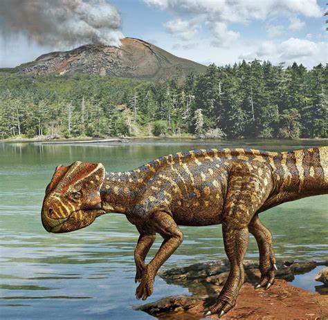 Paläontologie: Dinosaurier waren wohl doch Warmblüter - WELT