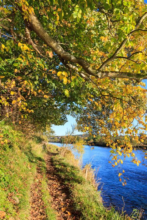Autumn Landscape And River Dee In Aberdeen Stock Photo Image Of