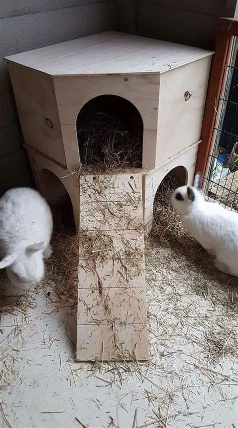 This Is My New Larger Version Design For Rabbits This 2 Storey