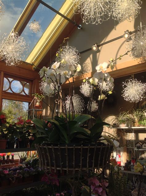 We did not find results for: Orchids in the greenhouse. Valley Forge Flowers, Wayne, PA ...