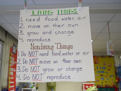 Maybe you would like to learn more about one of these? Krazy in Kindergarten: Living and nonliving
