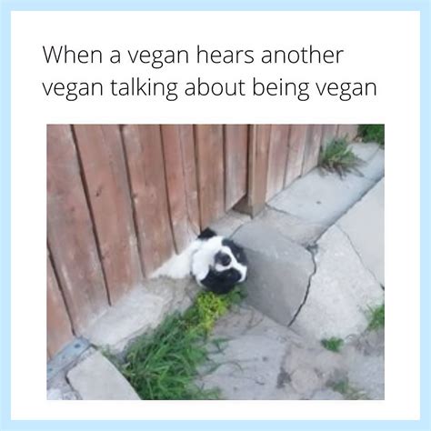 Relatable Funny Vegan Memes To Share Vegnews