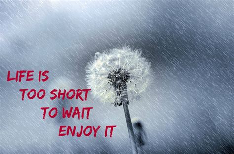 Thought of the Day! | Thought of the day, Life is short 