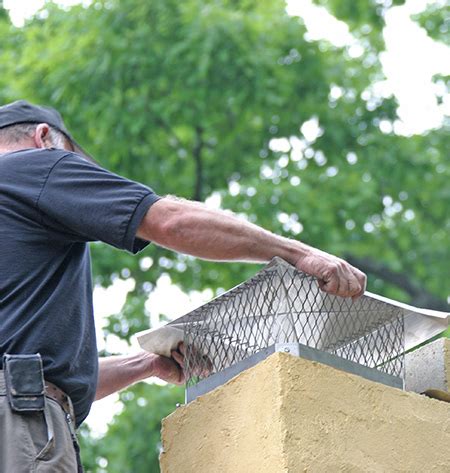 On our site you can download garena free fire.apk free for android! Keep Pests From Chimney - Chimney Specialists Install ...