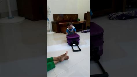 Anak Bayi Belajar Jalan Youtube