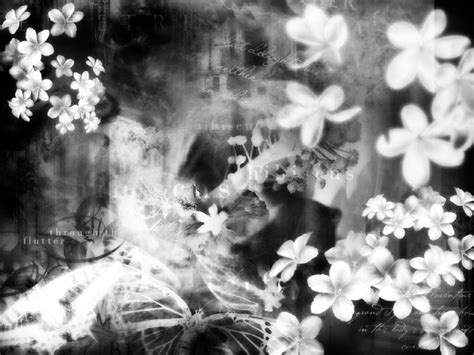 Black white photos black and white photography landscape photography nature photography foto picture cool photos beautiful pictures beautiful gif take better black and white photography with a few simple tips. Cool Black And White Backgrounds - Wallpaper Cave