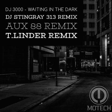 Dj 3000 Waiting In The Dark Dj Stingray 313 Remix Dj 3000 Motech