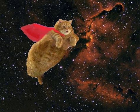 Super Space Cat Space Cat Crazy Cats Cats Illustration
