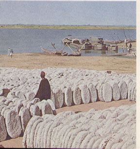Salt was used as a flavoring, a food preservative, and as today, a means of the first people to make the trek across the sahara were the berbers of north africa who carried their strict islamic faith across the desert. 😀 Gold and salt trade. The Silk Road and The African Gold. 2019-01-28