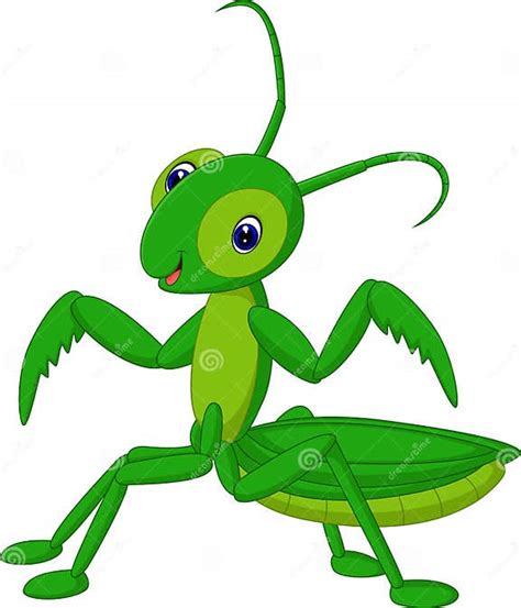 Grasshopper Cartoon Stock Vector Illustration Of Background 79016755