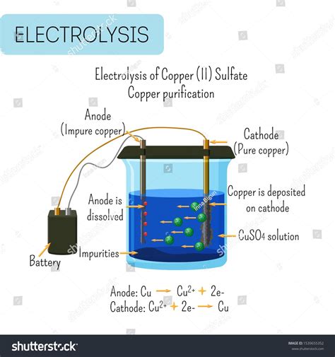 Anode And Cathode In Electrolysis