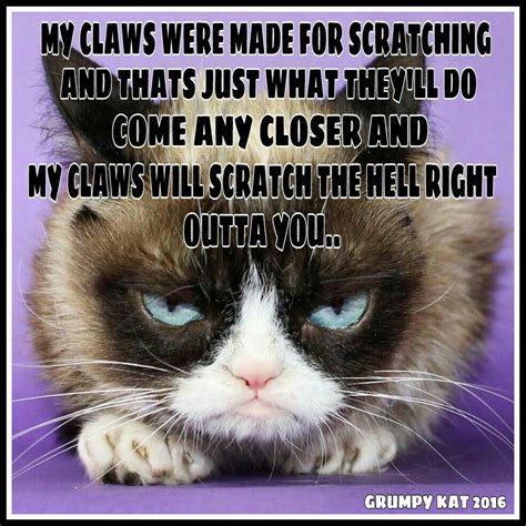 Another Grumpy Cat Meme By The Other Grumpy Kat Grumpys Claws Are