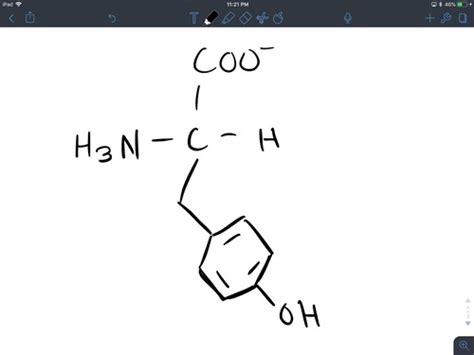 Amino Acids Biochem Flashcards Quizlet