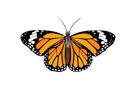 3d Butterfly Svg Free | Free SVG Design. FREE SVG files to download and